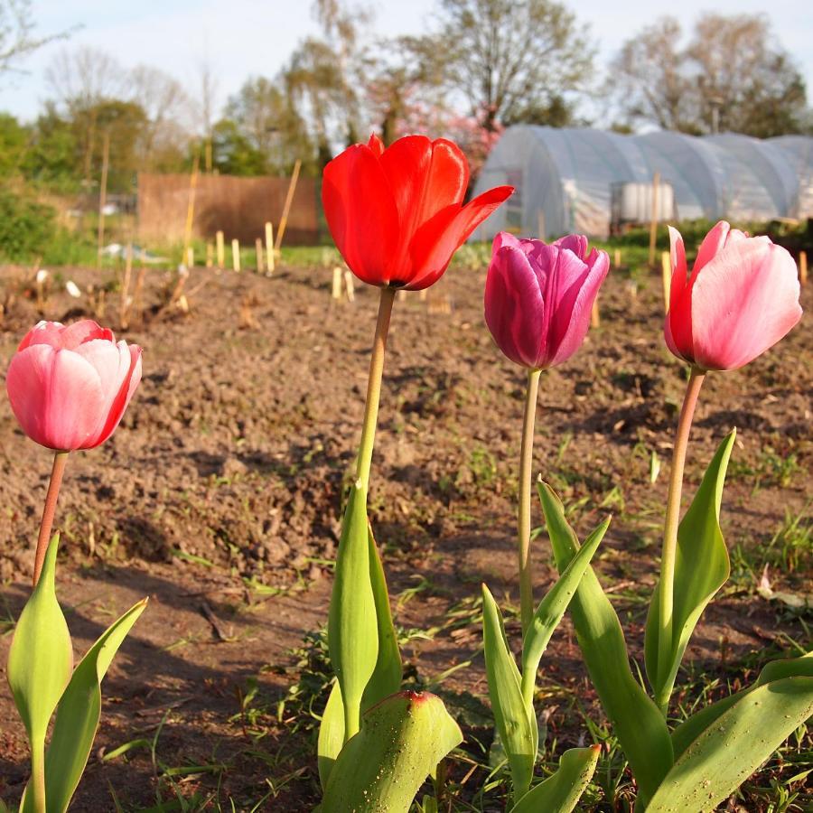 Amsterdam Farm Lodge ภายนอก รูปภาพ