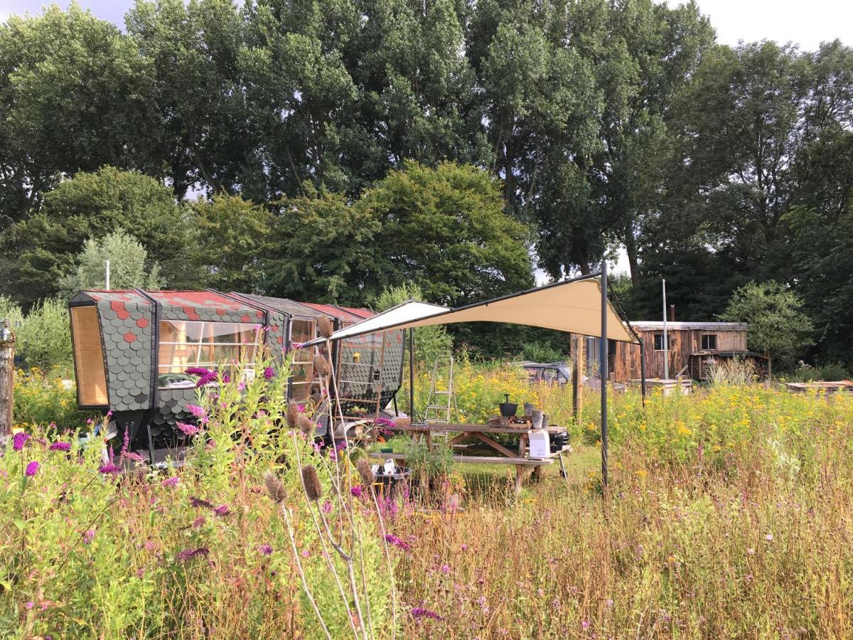 Amsterdam Farm Lodge ภายนอก รูปภาพ