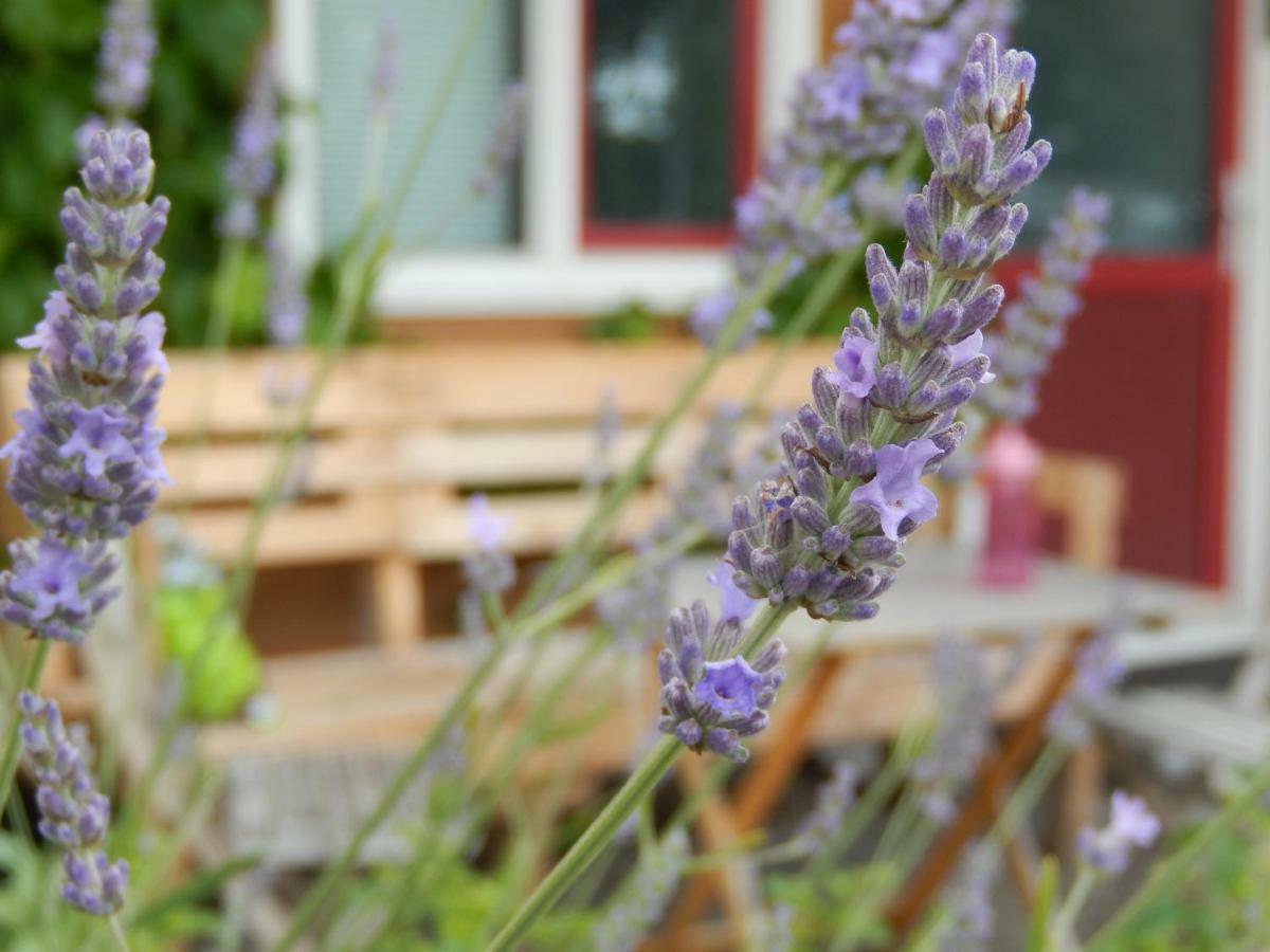 Amsterdam Farm Lodge ภายนอก รูปภาพ